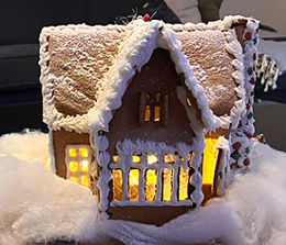 Marie Källstrands insnöade hus